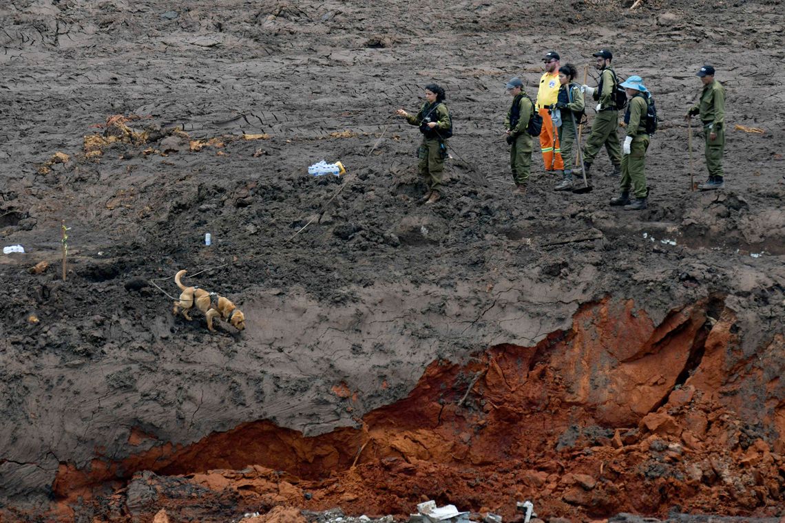 brumadinho