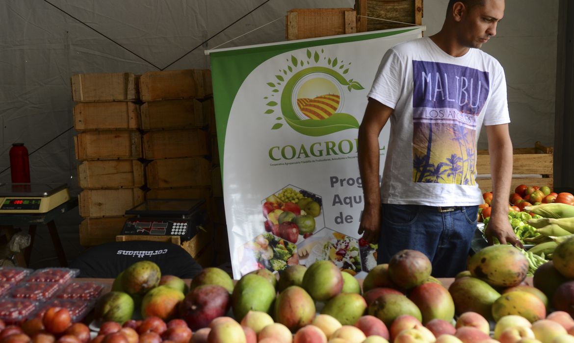 Agricultura 1