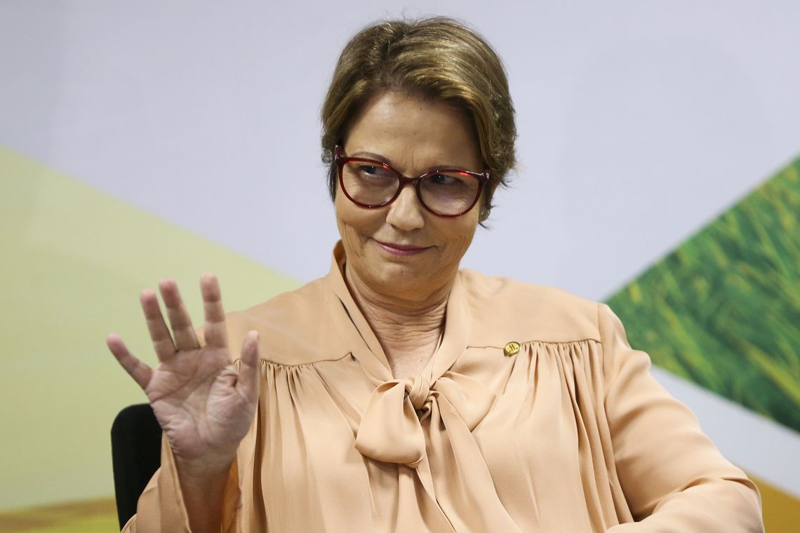 Tereza Cristina 1