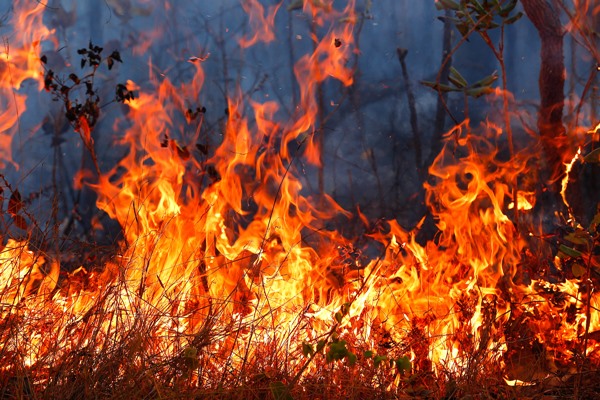 Incêndio na área da Marinha próximo a Santa Maria - Brasília - DF 31/08/2015