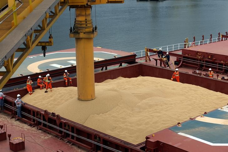 Carregamento de soja é preparado para exportação no porto de Santos, São Paulo