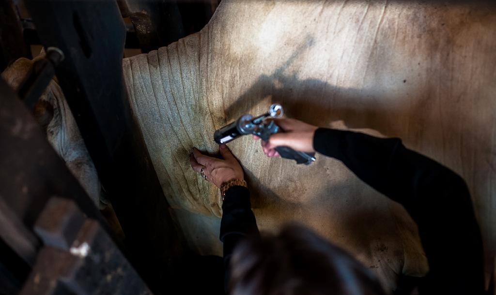 mt2020-12-01-20:42:31