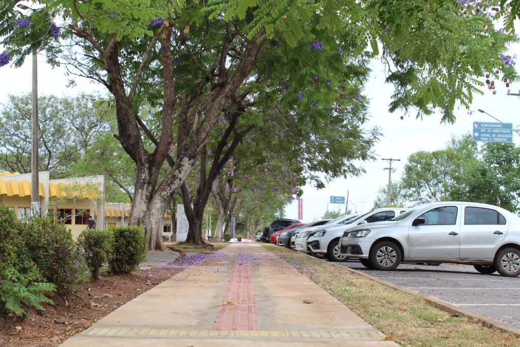 mt2020-12-05-11:04:25