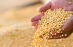 govagro2021-12-09-17:51:47
