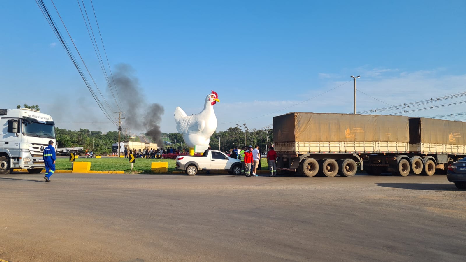 WhatsApp Image 2022-11-14 at 06.45.56