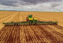 Mato Grosso inicia vazio sanitário da soja e Fundação Rio Verde reforça o controle de pragas