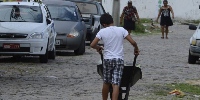 auditores-identificam-301-menores-realizando-trabalho-infantil-ilegal