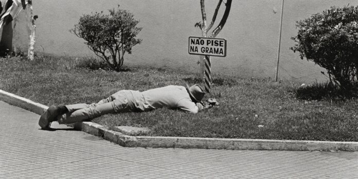 mostra-em-sp-apresenta-afeto-e-humor-da-fotografa-stefania-bril
