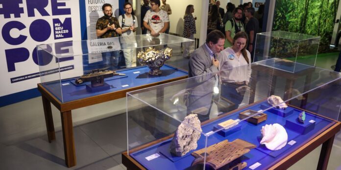 em-reconstrucao,-museu-nacional-abre-espaco-para-receber-escolas
