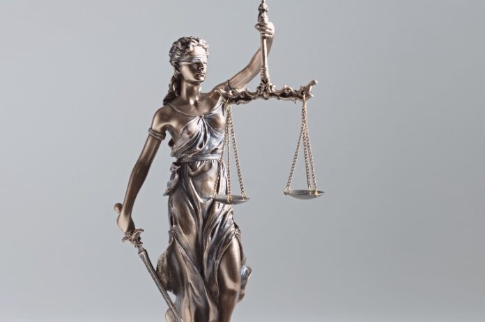 WhatsApp Image 2024-08-09 at 17_44_24