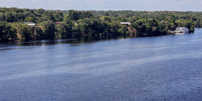 hoje-e-dia:-amazonia,-mulher-indigena-e-independencia-sao-destaques
