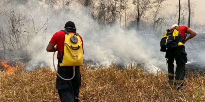 incendio-na-floresta-nacional-de-brasilia-e-extinto