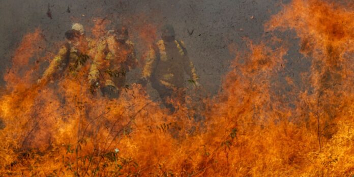 parque-da-cantareira-e-fechado-por-causa-de-incendio;-total-chega-a-81