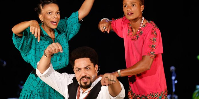musical-conta-trajetoria-da-cantora,-ativista-e-deputada-leci-brandao
