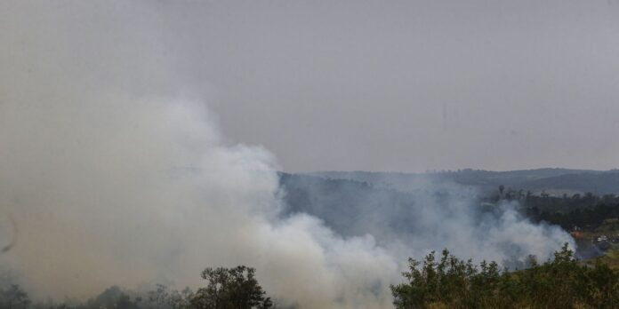cinco-cidades-do-estado-de-sao-paulo-tem-focos-de-incendio-ativos