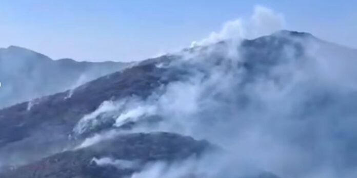 governo-investiga-mais-de-20-pessoas-por-incendios-florestais-no-rio governo-investiga-mais-de-20-pessoas-por-incendios-florestais-no-rio