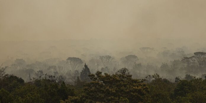 parque-de-brasilia:-fogo-vira-subterraneo-mas-pode-voltar-a-superficie