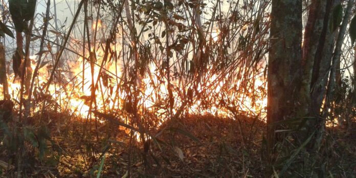 policia-do-rio-realiza-operacoes-contra-suspeitos-de-causar-incendios