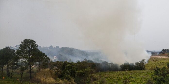 em-sp,-multas-por-queimadas-chegam-a-r$-25-milhoes-neste-ano