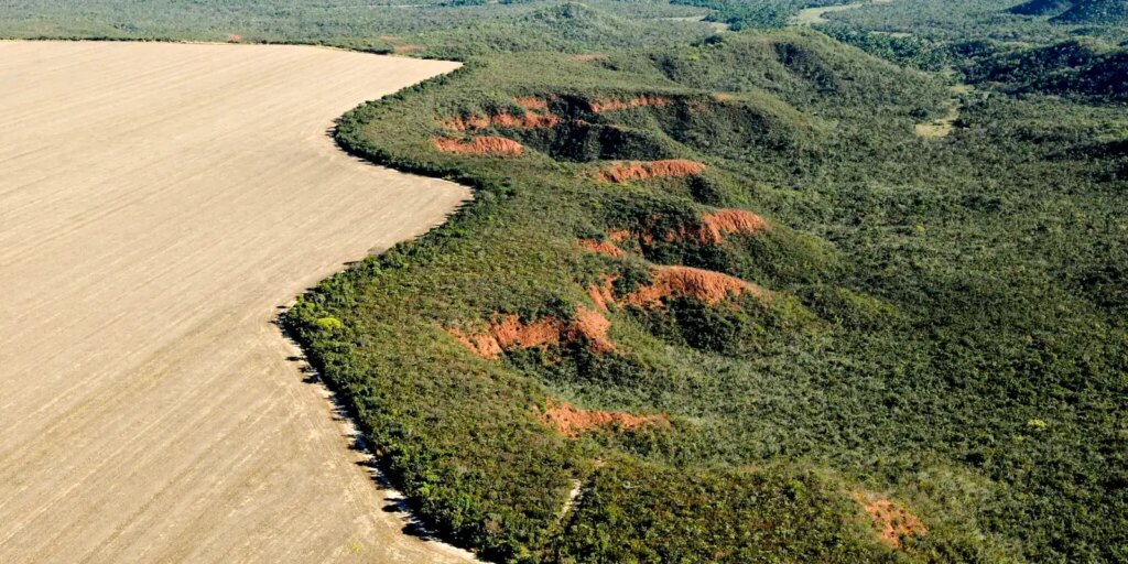 cerrado:-desmatamento-emite-135-milhoes-de toneladas-de-co2-desde-2023
