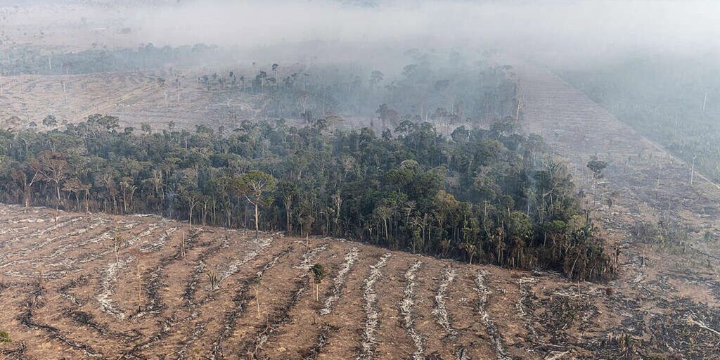 fogo-na-amazonia-se-concentra-em-locais-onde-agronegocio-avanca