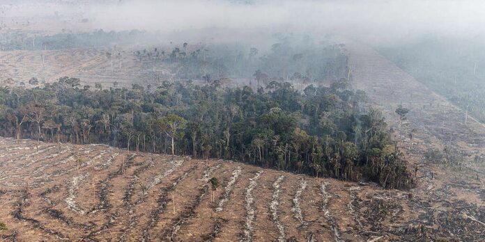 fogo-na-amazonia-se-concentra-em-locais-onde-agronegocio-avanca