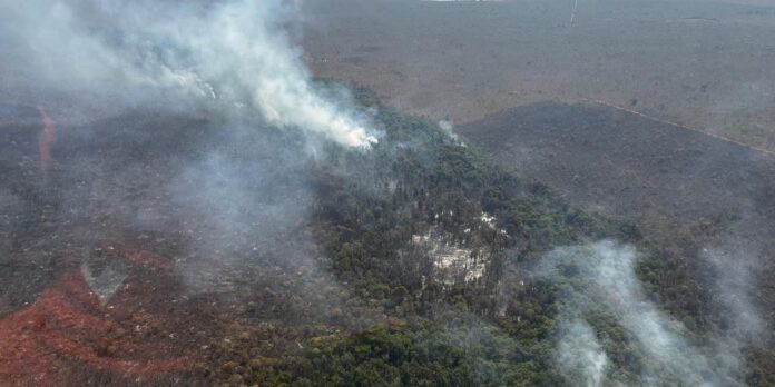 incendio-florestal-no-parque-nacional-de-brasilia-esta-controlado