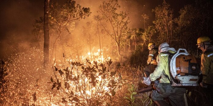 monitoramento-mostra-que-99%-dos-incendios-sao-por-acao-humana