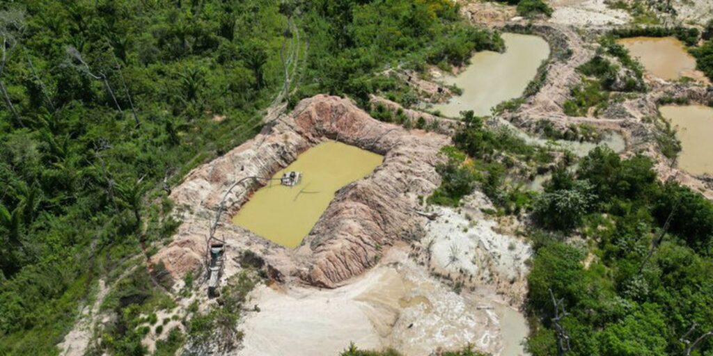 terra-indigena-kayapo-tem-mais-de-17%-de-area-tomada-pelo-fogo
