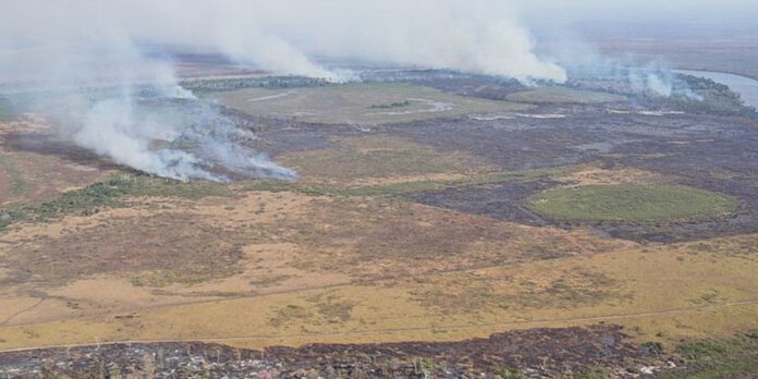 suspeitos-de-incendio-criminoso-no-pantanal-sao-alvo-de-operacao-da-pf
