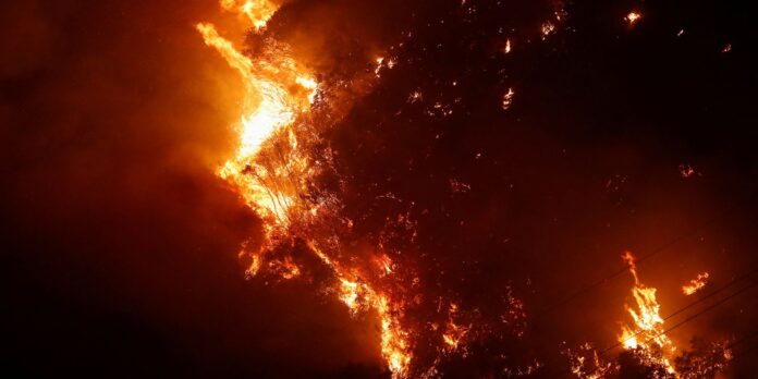 policia-do-rio-identifica-34-autores-de-incendios-florestais