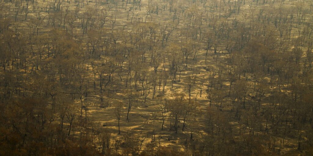 incendios-e-seca-na-amazonia-e-no-pantanal-batem-marcas-historicas