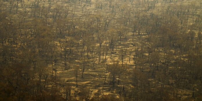incendios-e-seca-na-amazonia-e-no-pantanal-batem-marcas-historicas