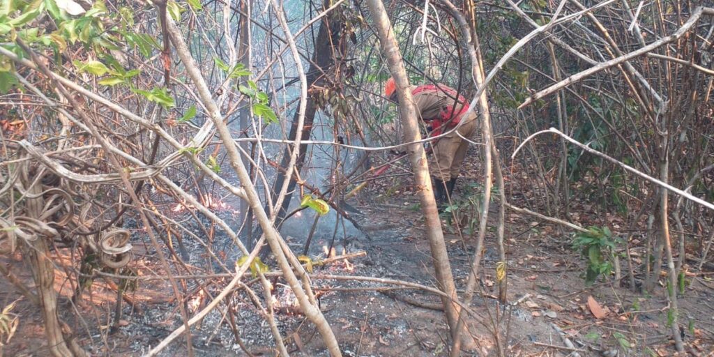 incendio-na-chapada-dos-veadeiros-ainda-nao-foi-controlado