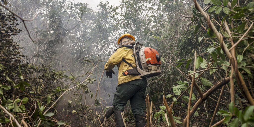 ibama-multa-fazendeiros-em-r$-100-milhoes-por-incendio-no-pantanal