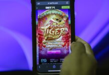 Quatro em cada dez apostadores se endividaram após começar a apostar em bets estudo-da-cnc-aponta-que-bets-causam-prejuizo-bilionario-ao-comercio