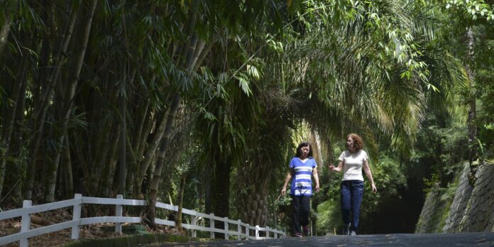apos-incendios,-sao-paulo-reabre-hoje-69-parques-estaduais