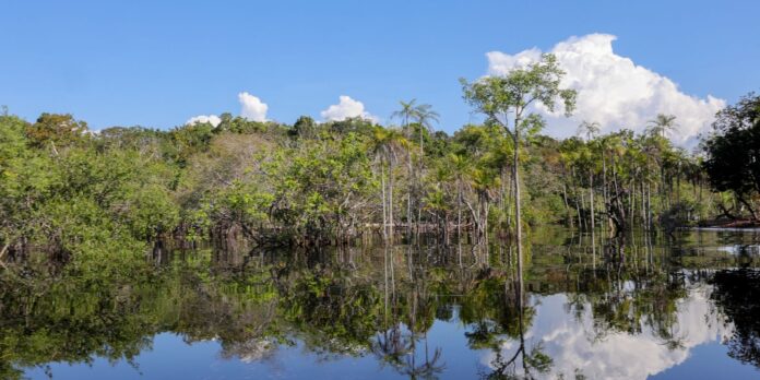 rio-negro-pode-passar-por-pior-seca-da-historia-ainda-esta-semana
