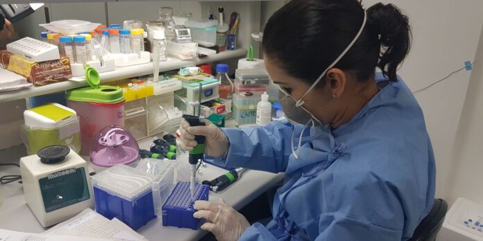 brasil-elimina-elefantiase-como-problema-de-saude-publica brasil-elimina-elefantiase-como-problema-de-saude-publica