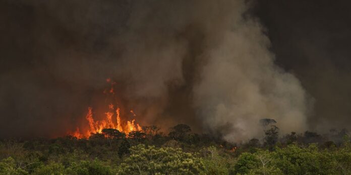 brasil-tem-22,38-milhoes-de-hectares-atingidos-pelo-fogo-em-nove-meses
