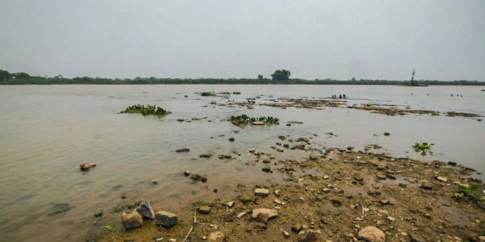 rio-paraguai-registra-minima-historica-em-ano-mais-seco-no-pantanal