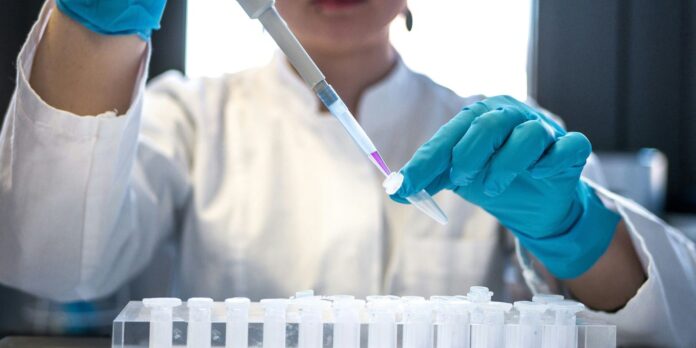 cnpq-cria-premio-para-estimular-participacao-feminina-na-ciencia