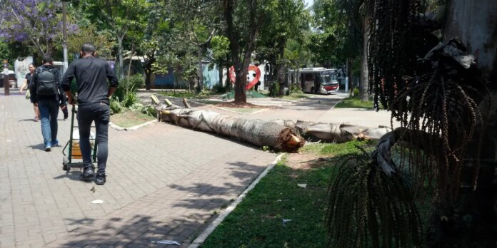 sp:-apos-apagao,-bares-e-restaurantes-pedem-mais-prazo-para-impostos