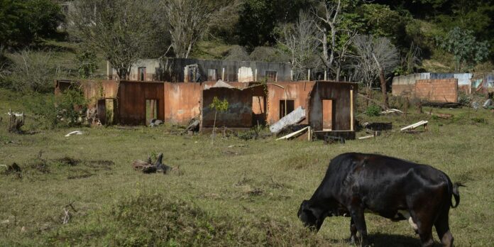 julgamento-de-tragedia-em-mariana-comeca-nesta-segunda-no-reino-unido
