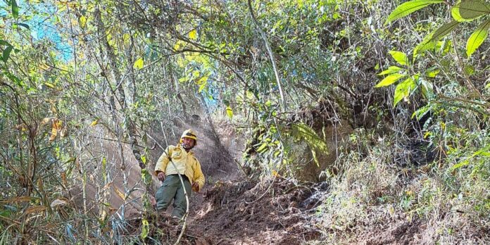 icmbio-multa-exercito-em-6,5-milhoes-por-incendio-florestal-em-parque