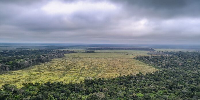 degradacao-de-florestas-na-amazonia-bate-recorde-mensal-em-setembro