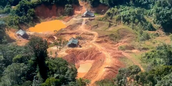 crimes-ambientais-na-amazonia-legal-aumentam-88%,-aponta-prf