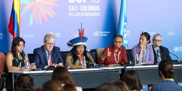 cop16-cria-orgao-para-atender-povos-indigenas-e-quilombolas