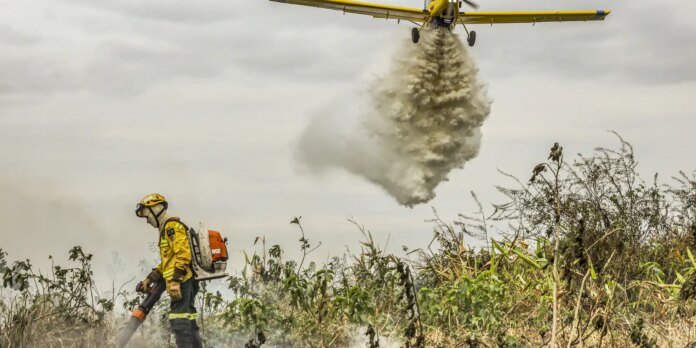 pantanal:-reducao-da-area-alagada tem-favorecido-aumento-de-incendios