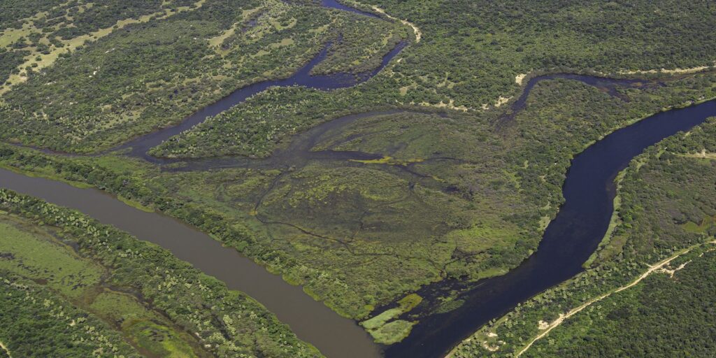 maior-parte-da-mata-atlantica-tem-menos-de-30%-de-vegetacao-nativa